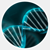 17 главных научных открытий 2013-го года