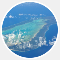 17 главных научных открытий 2013-го года