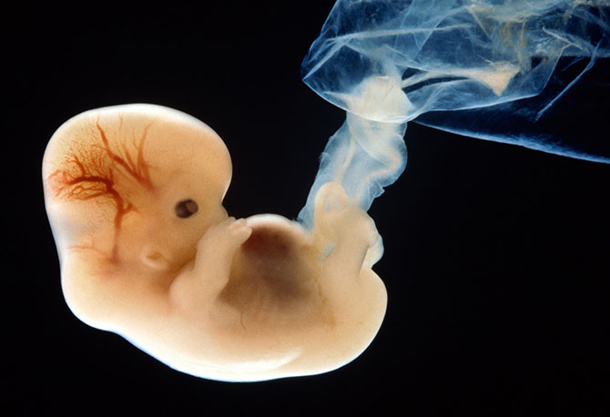 17 главных научных открытий 2013-го года