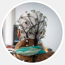 17 главных научных открытий 2013-го года