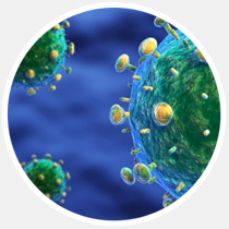 17 главных научных открытий 2013-го года