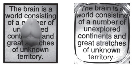 17 главных научных открытий 2013-го года