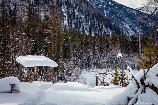 В гостях у самой известной в мире таежной отшельницы