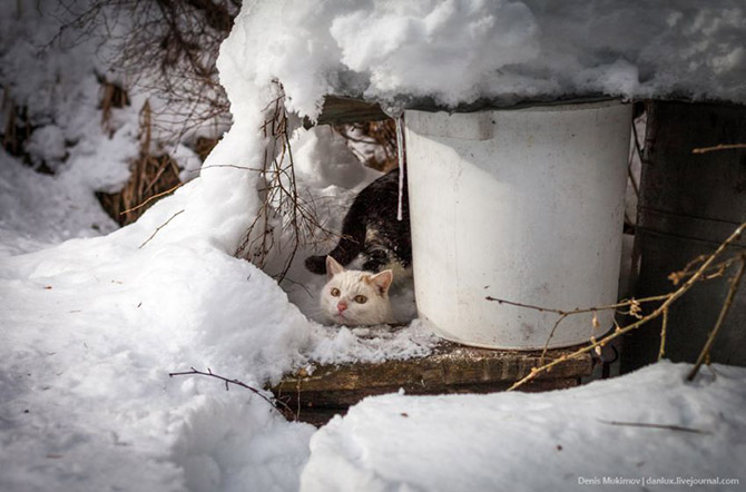 В гостях у самой известной в мире таежной отшельницы