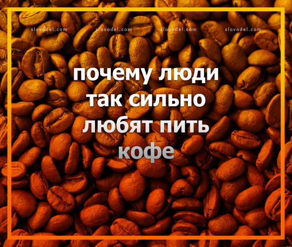 Стало известно, почему люди так сильно любят пить кофе