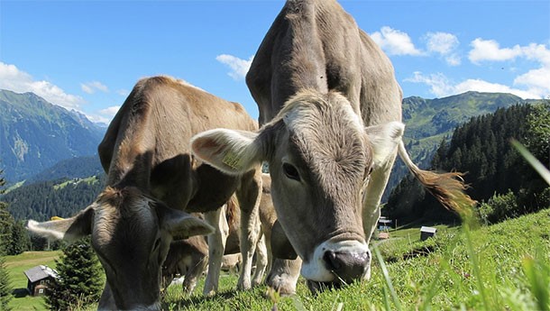 Странные, настораживающие и удивительные процессы в мире, о которых никто не говорит в новостях