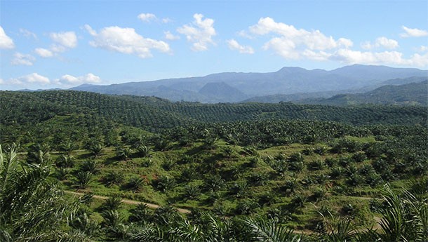 Странные, настораживающие и удивительные процессы в мире, о которых никто не говорит в новостях