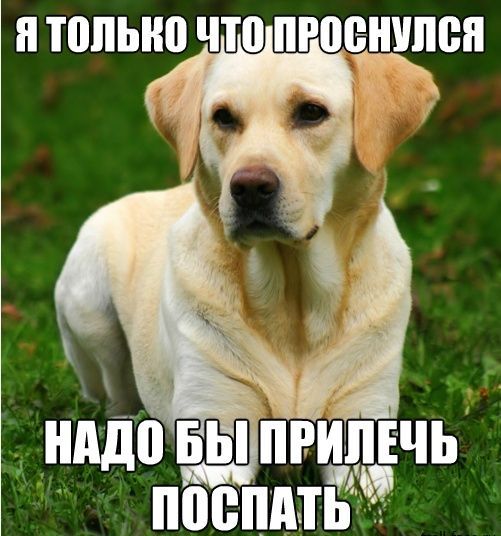 Прикольные комиксы