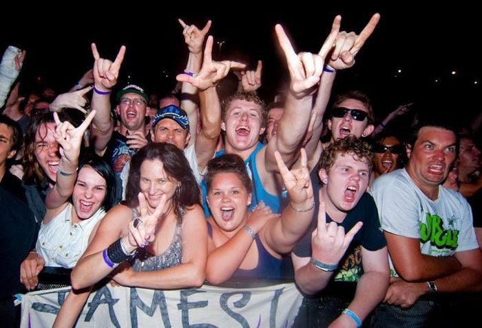 Прикольные картинки