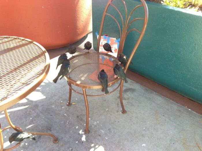 Прикольные картинки