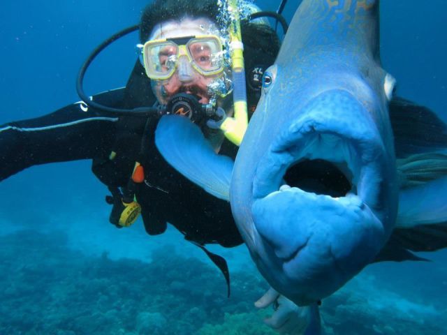 Прикольные картинки