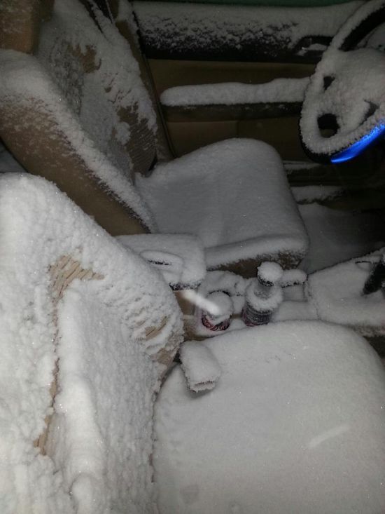 Прикольные картинки