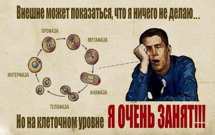 Прикольные картинки