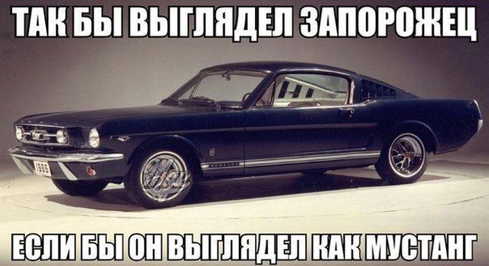 Авто-юмор. Часть 4 (40 фото)