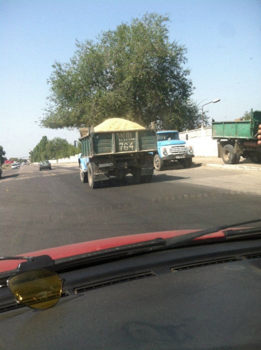 Авто-юмор. Часть 4 (40 фото)