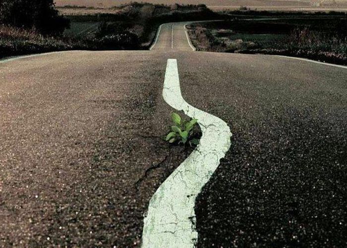 Авто-юмор. Часть 4 (40 фото)