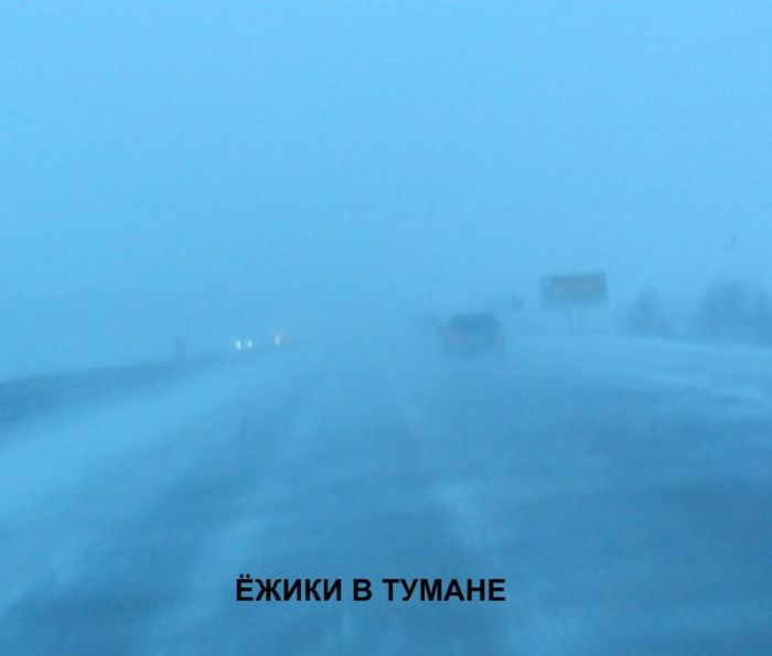 Авто-юмор. Часть 4 (40 фото)