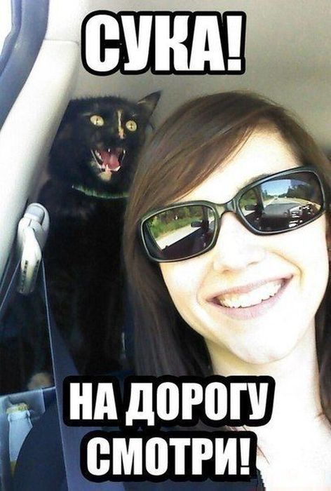 Авто-юмор. Часть 4 (40 фото)