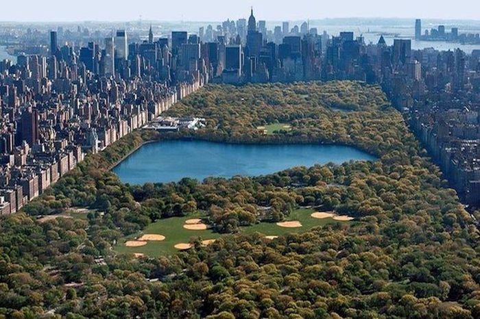 Короткие и любопытные факты Короткие и любопытные факты