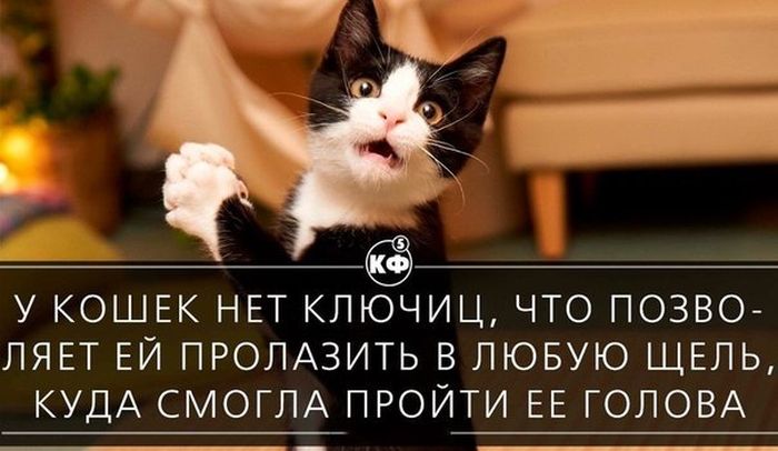 Короткие и любопытные факты Короткие и любопытные факты