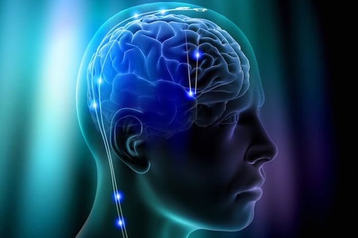 Короткие и любопытные факты Короткие и любопытные факты