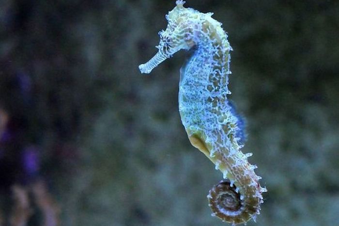 Короткие и любопытные факты Короткие и любопытные факты