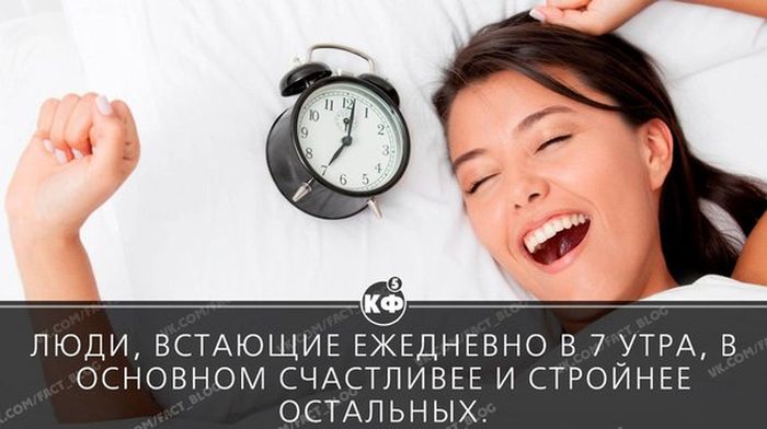Короткие и любопытные факты Короткие и любопытные факты