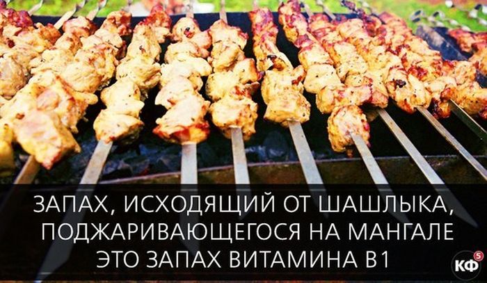 Короткие и любопытные факты Короткие и любопытные факты