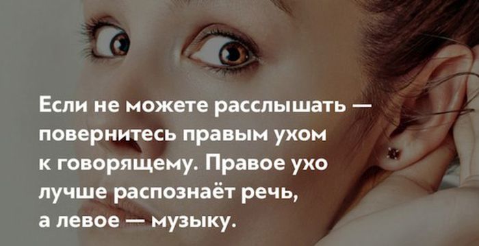 Короткие и любопытные факты Короткие и любопытные факты