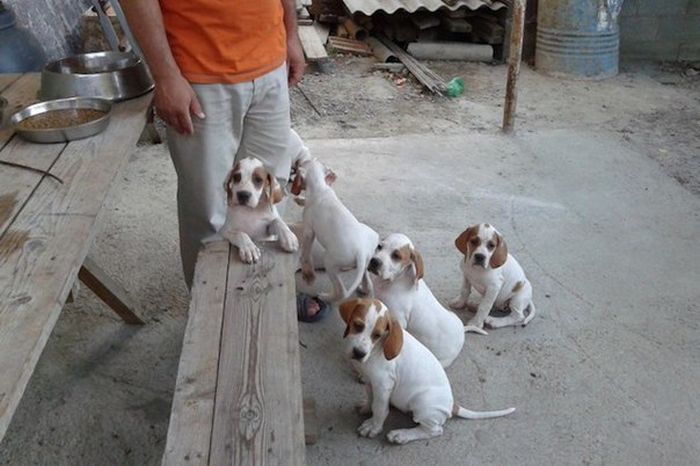 Короткие и любопытные факты Короткие и любопытные факты