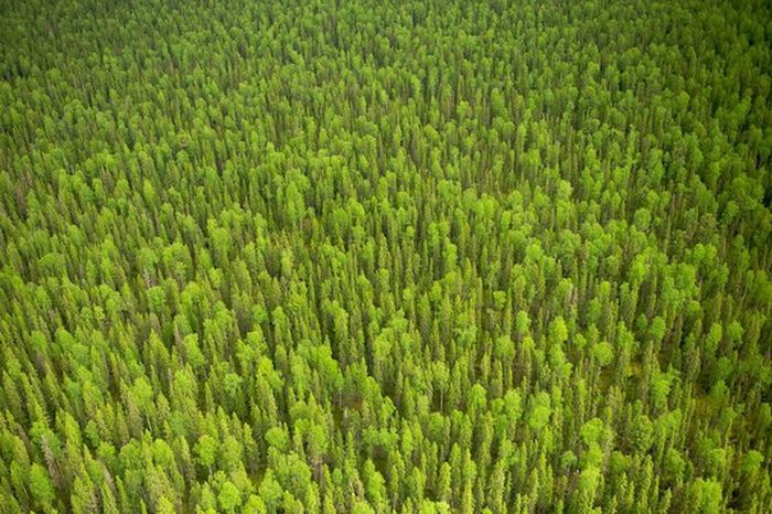 Короткие и любопытные факты Короткие и любопытные факты