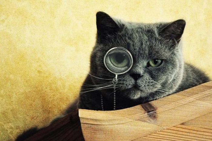 Короткие и любопытные факты Короткие и любопытные факты