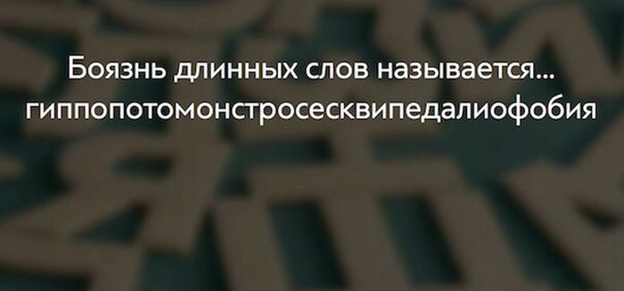 Короткие и любопытные факты Короткие и любопытные факты