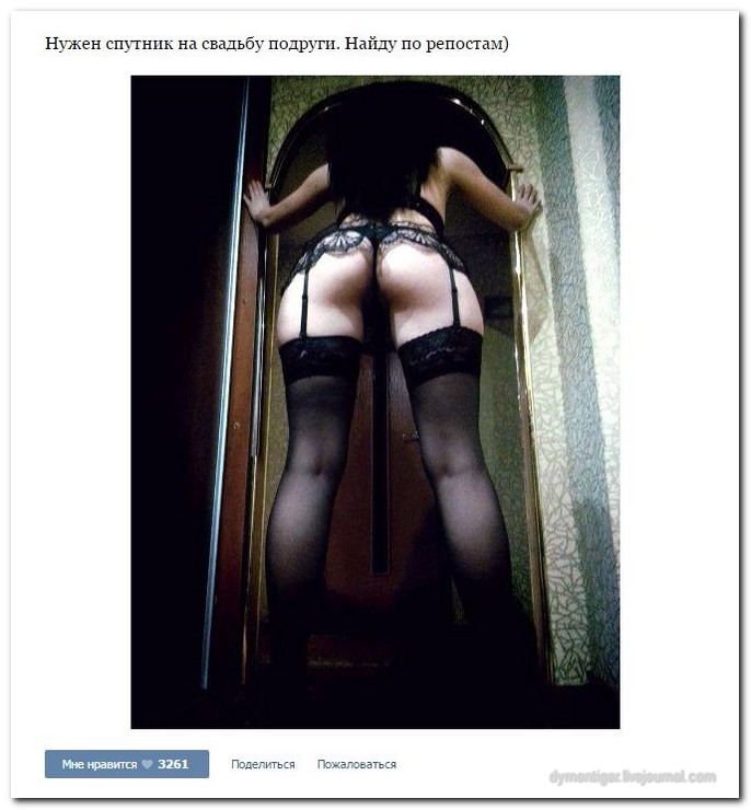 Дамам очень секаса не хватает