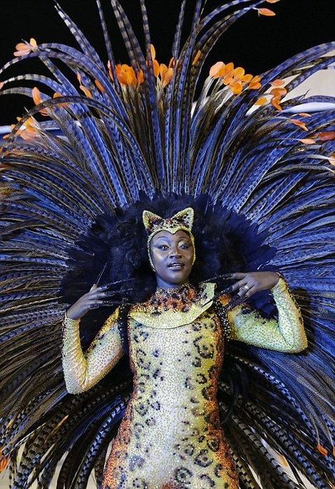 Девушки на карнавале в Рио-де-Жанейро