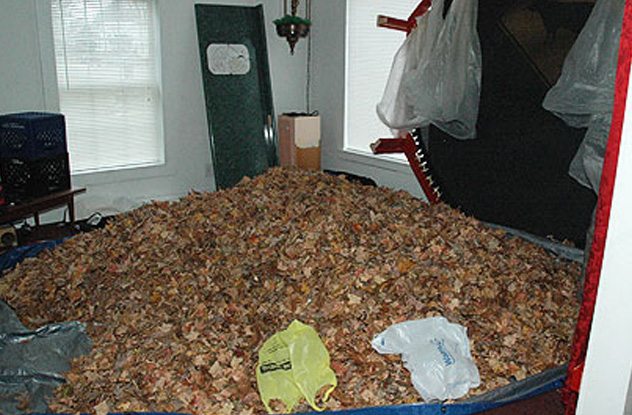 Убийцы с тревожными навязчивыми идеями Убийцы с тревожными навязчивыми идеями