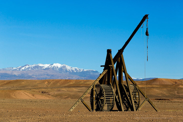 Бутафорский Голливуд и козы на деревьях Бутафорский Голливуд и козы на деревьях