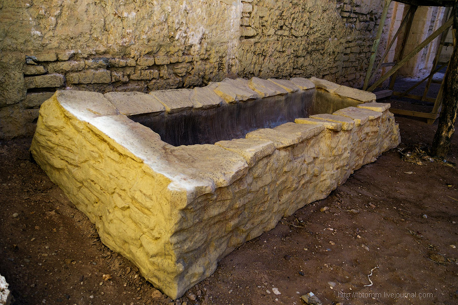 Бутафорский Голливуд и козы на деревьях Бутафорский Голливуд и козы на деревьях