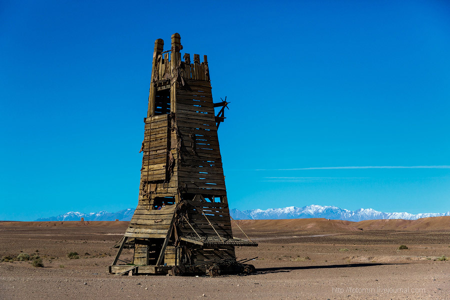 Бутафорский Голливуд и козы на деревьях Бутафорский Голливуд и козы на деревьях