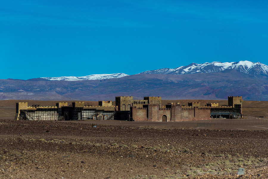 Бутафорский Голливуд и козы на деревьях Бутафорский Голливуд и козы на деревьях