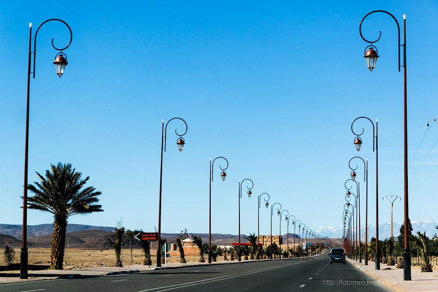 Бутафорский Голливуд и козы на деревьях Бутафорский Голливуд и козы на деревьях