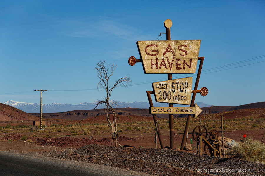 Бутафорский Голливуд и козы на деревьях Бутафорский Голливуд и козы на деревьях