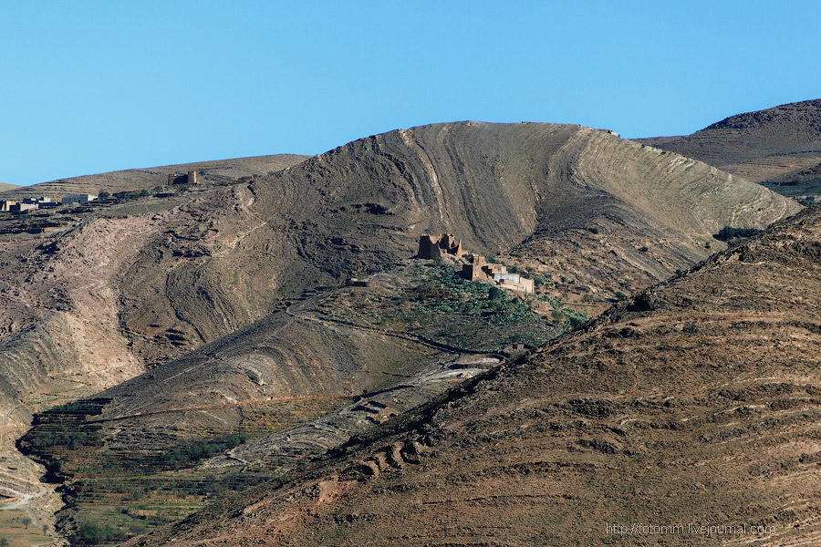 Бутафорский Голливуд и козы на деревьях Бутафорский Голливуд и козы на деревьях