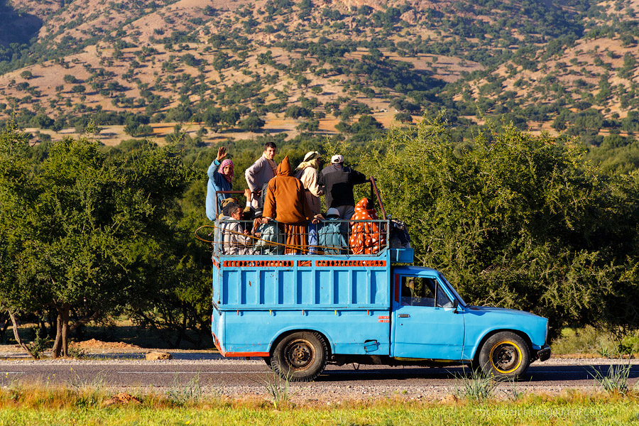 Бутафорский Голливуд и козы на деревьях Бутафорский Голливуд и козы на деревьях