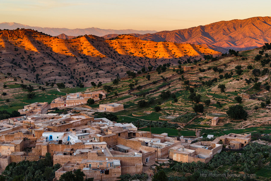 Бутафорский Голливуд и козы на деревьях Бутафорский Голливуд и козы на деревьях