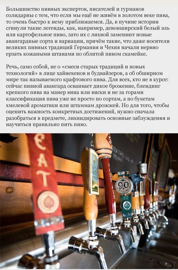 Разбираемся в пиве (17 фото)