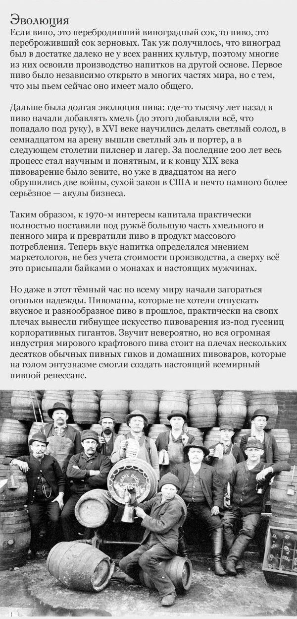 Разбираемся в пиве (17 фото)