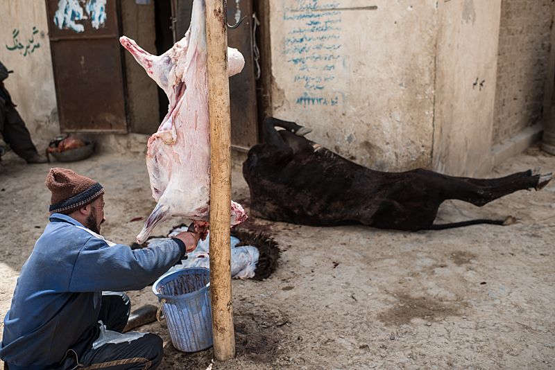 Пленник Афганистана (25 фото) Пленник Афганистана (25 фото)