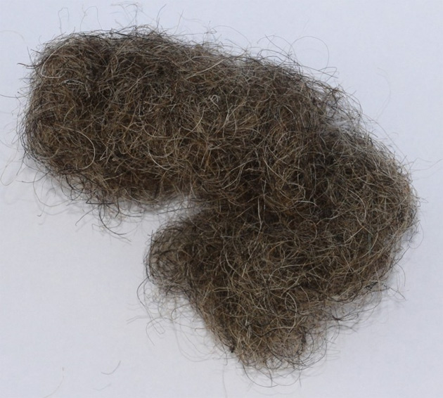 Какие сюрпризы спрятаны в продуктах