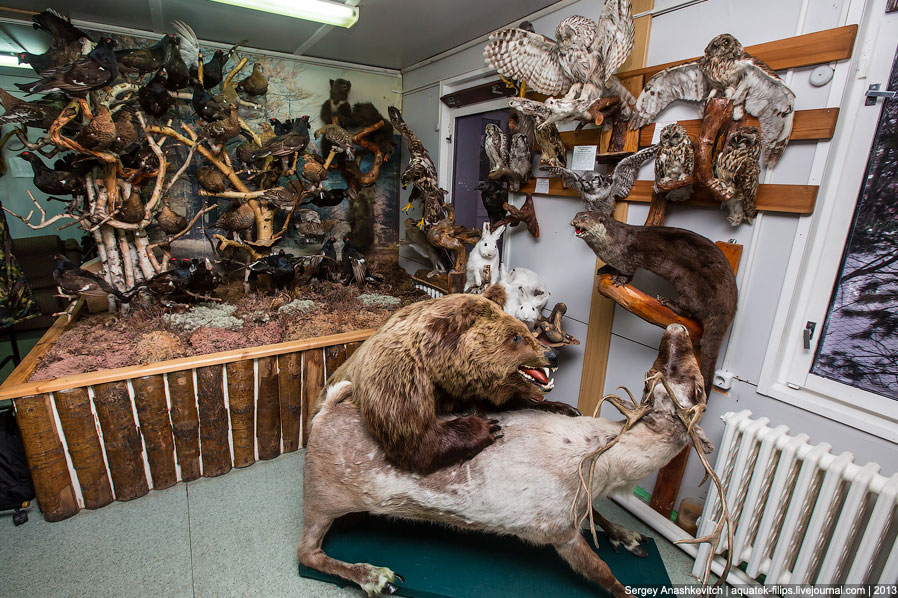 Музей Природы и Человека